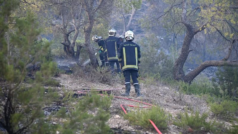 Day Three: Efforts Continue to Extinguish the Boghan Mountain Fire in Kairouan