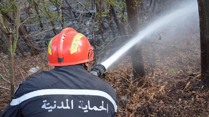 Civil Protection reports 162 fires put out in one day