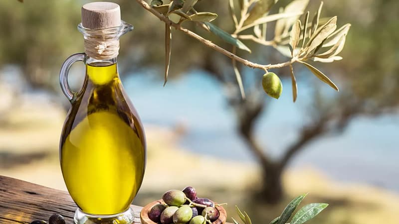 Olive oil export profits rise 44.4%