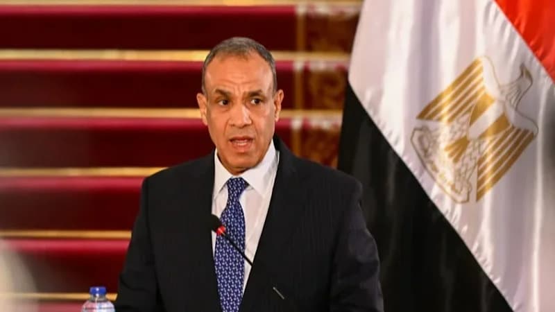 Egyptian FM: Hamas to surrender weapons
