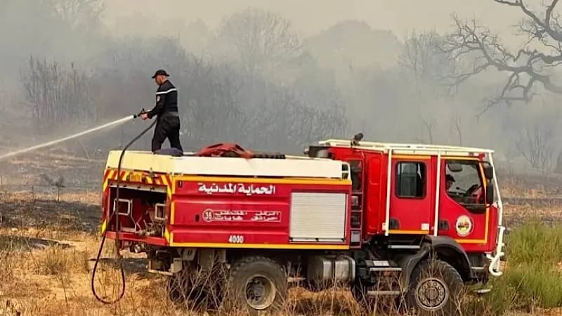الجزائر تسيطر على 110 حرائق خلال يوم