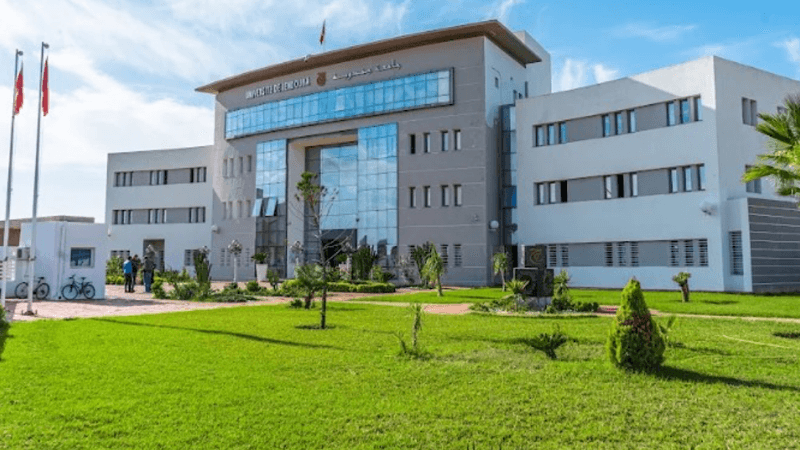 Jendouba University Graduate Employment