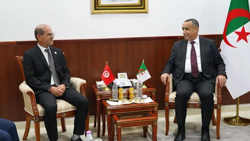Tunisia and Algeria consider joint power plant