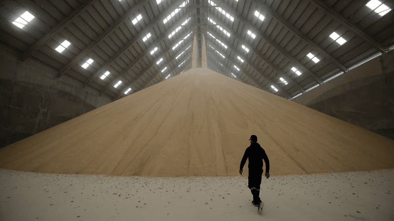 Raw sugar prices near 19-month high