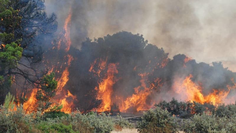 Wildfires in Spain kill 12 people