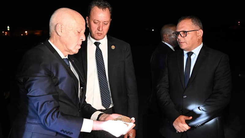 سعيّد يتعهد بتفكيك الوحدات الملوثة وتركيز العمل على الحلول السريعة