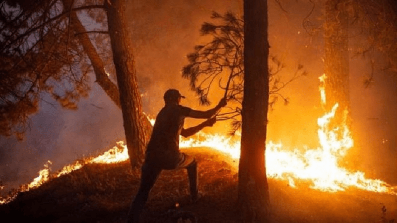 Fire incidents decline last 24 hours