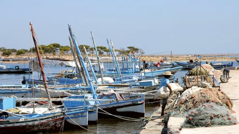 Agriculture Ministry Sets Licensing Conditions for Fishing Boats