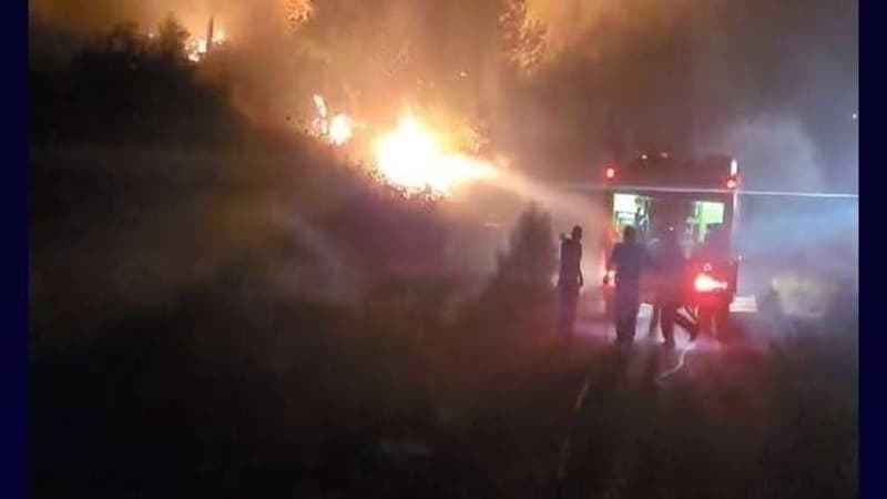 Ain Drahem wildfire damages forests