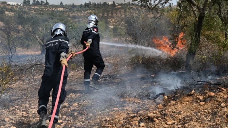 Silyana manages Kasra wildfire