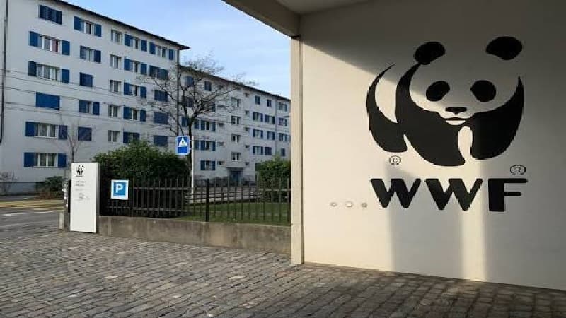 WWF Launches Ecosive for Marine Waste