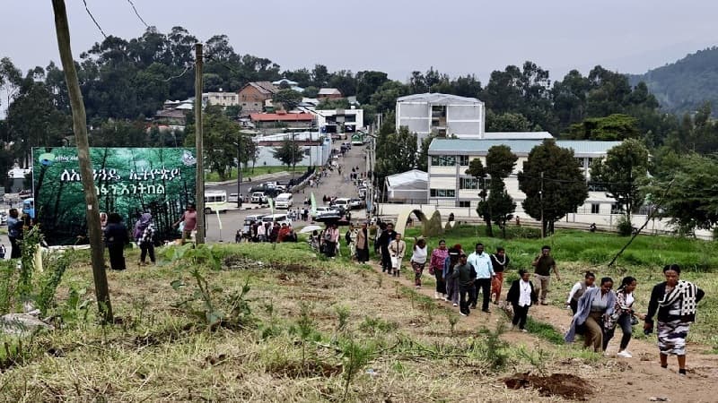 Ethiopia landslide causes deaths and disappearances