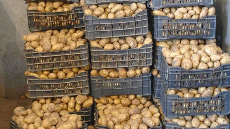 Agriculture Minister: Potato stock at 12,392 tons