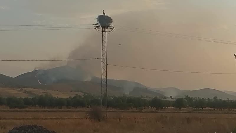 Wadi Maliz wildfire spreads