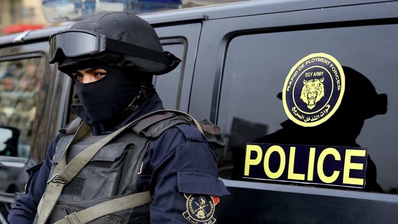 Egypt's leading arms dealer falls