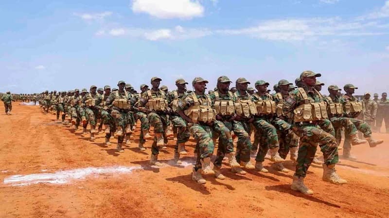 Sudan War: Gijiaga Incident and Somali Role