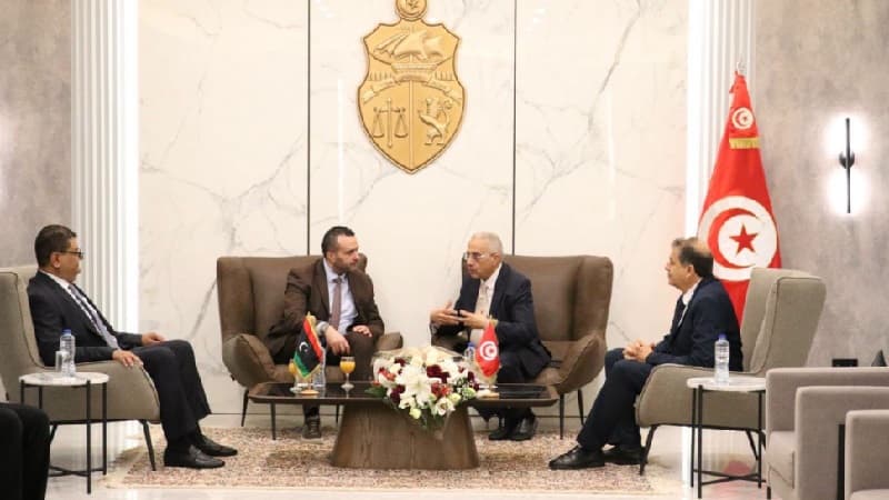 وزير الصحة يبحث التطبيب عن بعد مع نظرائه