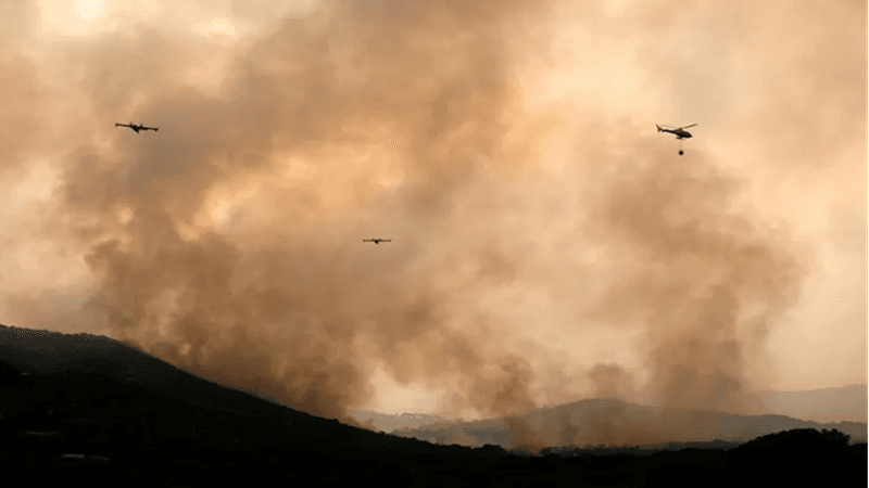 موجة حرارة تزداد حرائق الغابات في فرنسا وإسبانيا