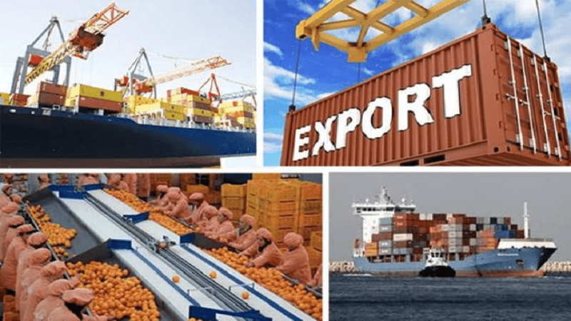 UNCTAD assists Tunisia with e-commerce plan