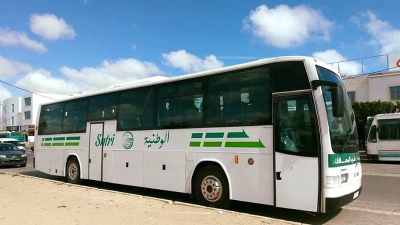National Transport Opens Recruitment for 55 Positions