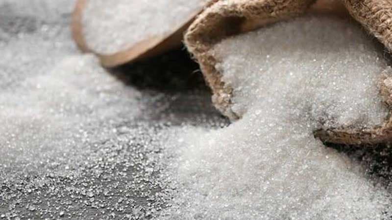 Fieldwork Starts on Tunisia Sugar Industry Study