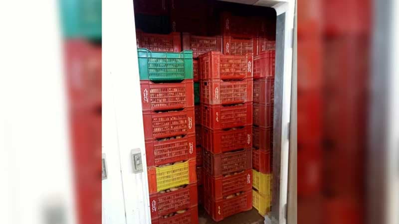 Kairouan authorities seize 5.3 tons of inedible tomatoes