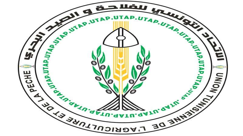 اتحاد الفلاحة يقترح إجراءات لحماية الإنتاج الوطني