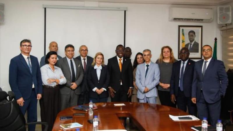 تونس والسنغال تنسقان لتعزيز التعاون في زيت الزيتون