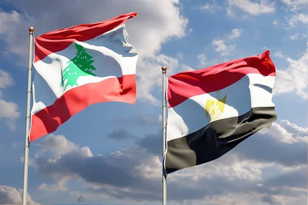 Egypt sends 10 tons of medicines to Lebanon