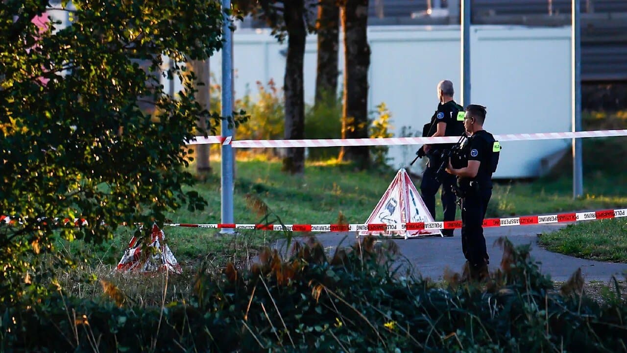 Crowd at concert suffers gunfire