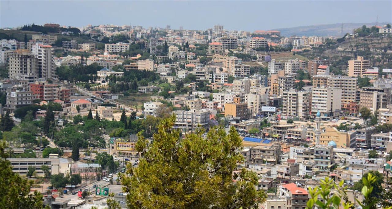 Nabatieh Celebrates Lebanese Army Amid Roses and Cedar