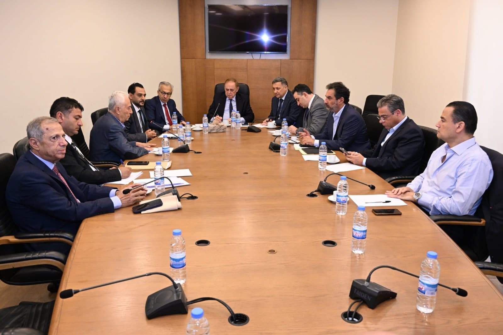 Al-Boustani Calls for Urgent Economic and Power Reforms