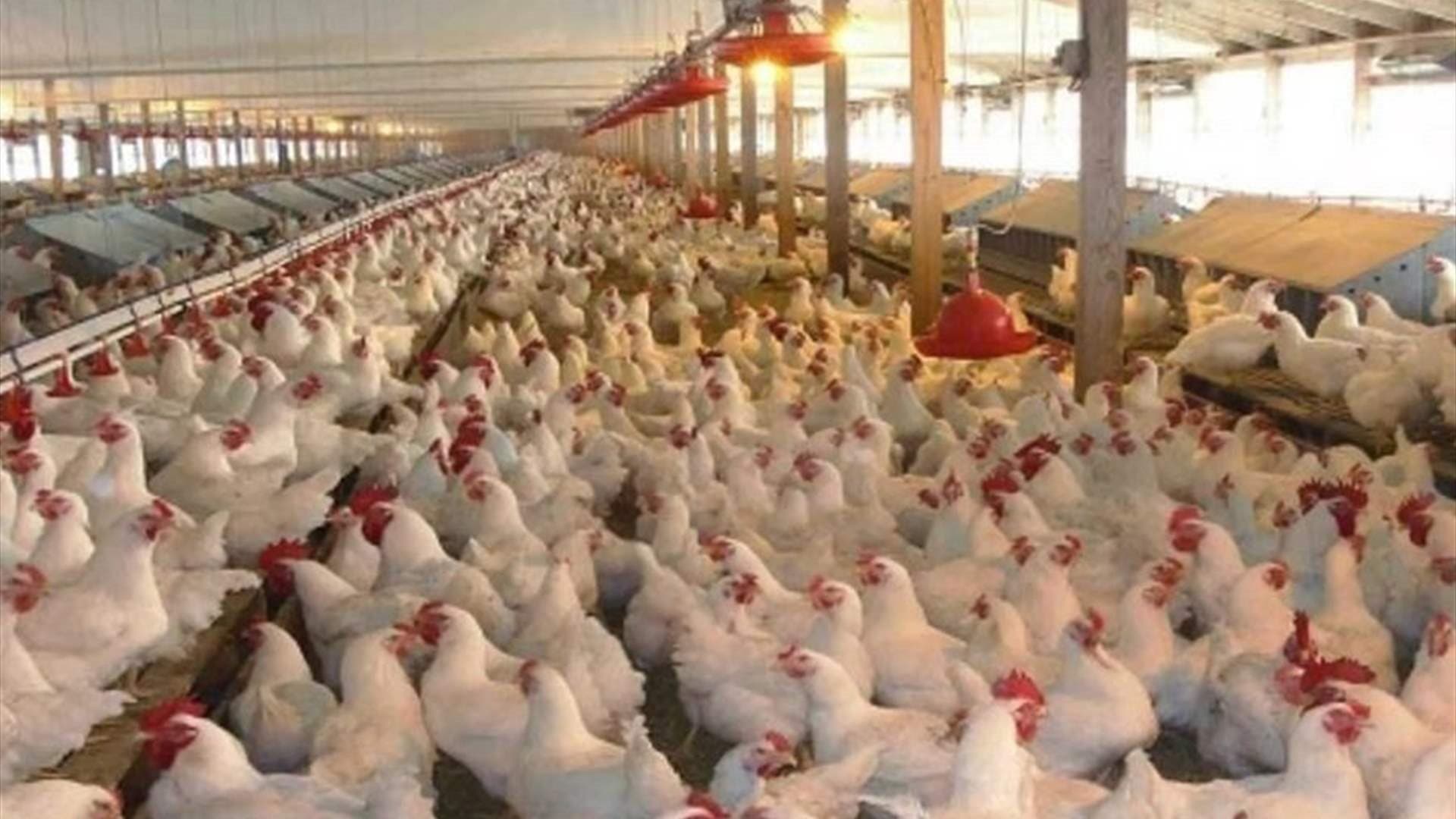 Six unions threaten to escalate over food prices