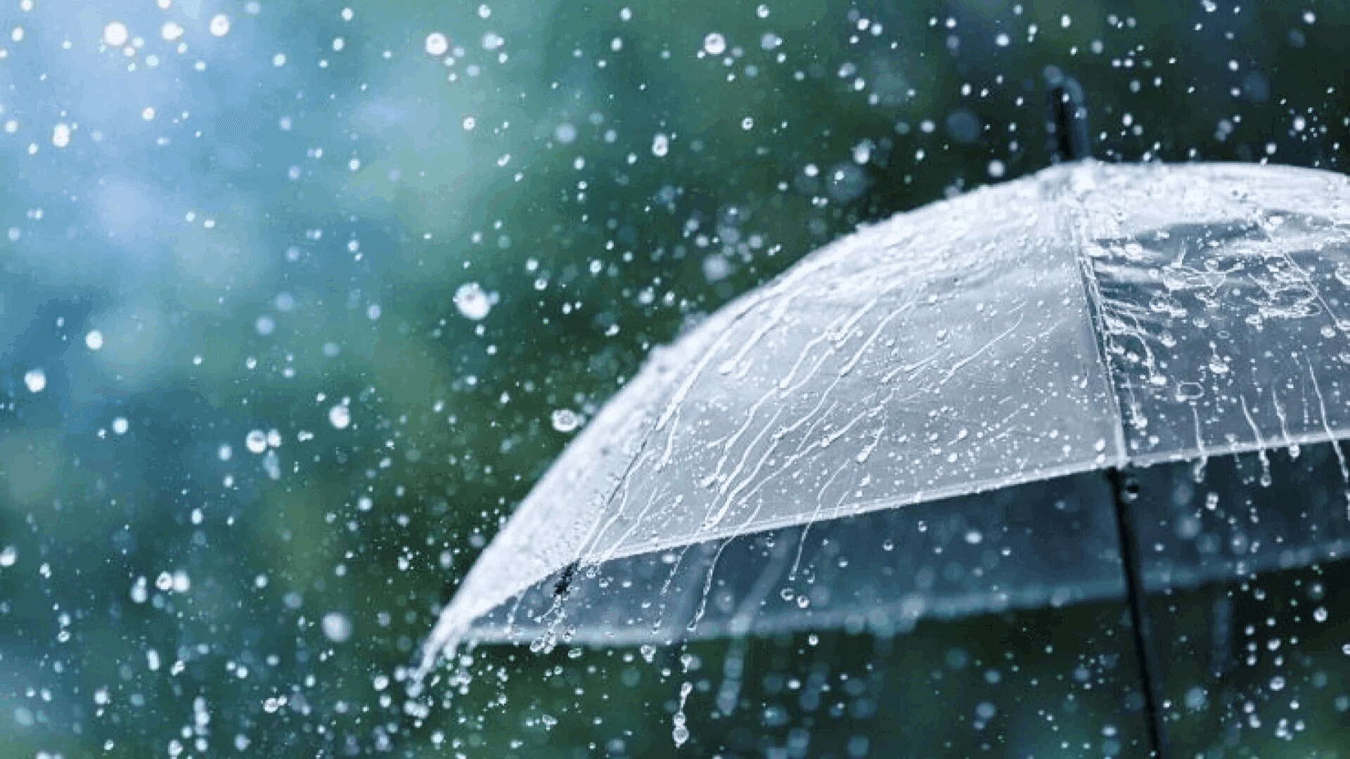 Upcoming Rain: Weather Forecast