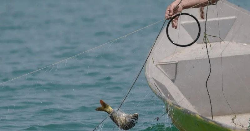 Theft at Al-Jannah port prompts fishermen's plea