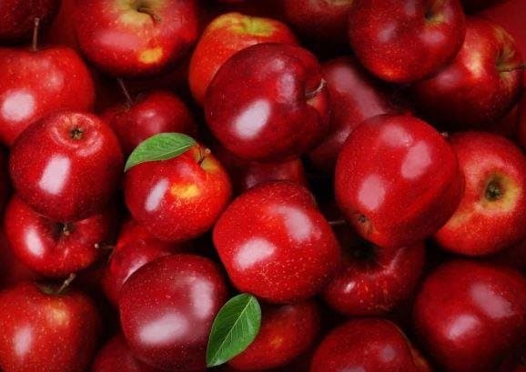 Support for Lebanese Apples Details