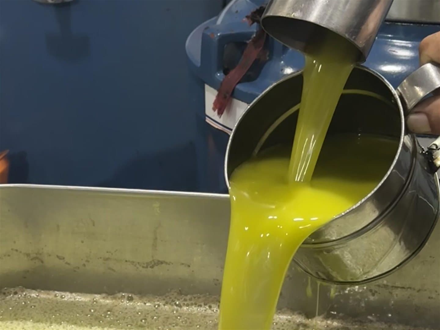 Hasbaya marks olive oil celebration