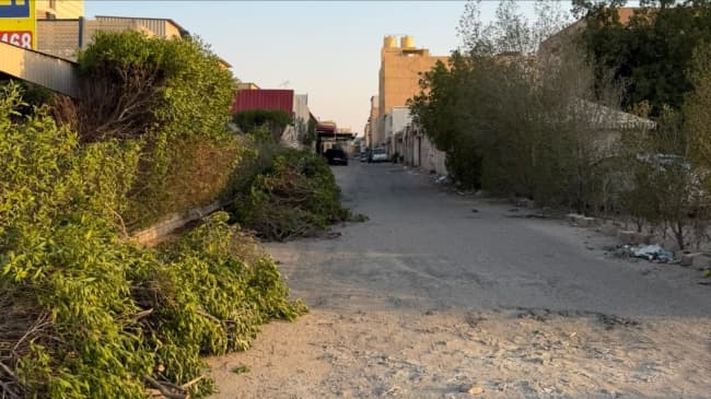 Municipality mandates removal of trimming debris from private homes