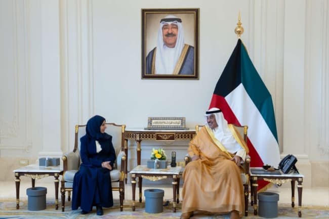 Yemeni Council Chair Sends Message to Crown Prince