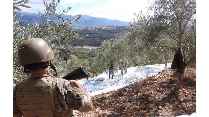 Army supports residents during olive harvest