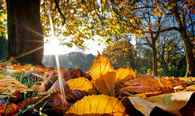 Lebanon experiences steady autumn conditions