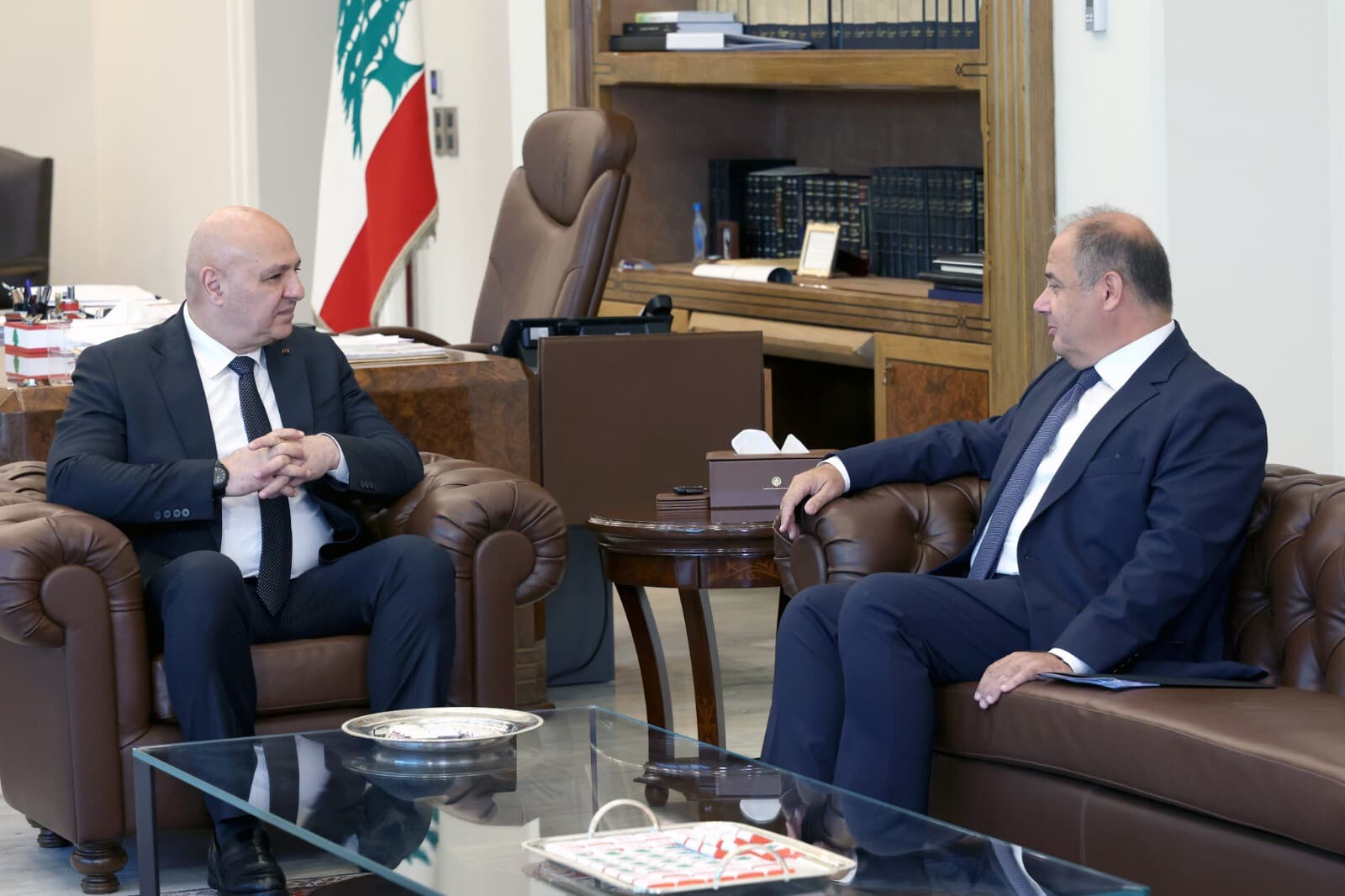Aoun considers proposals for social stability