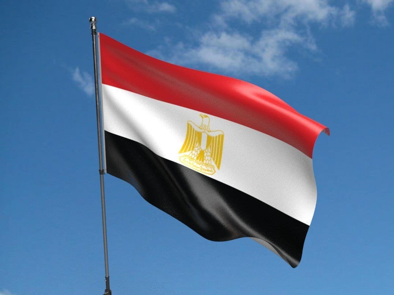 مصر مجلس الدفاع يوافق على قوات للسعودية