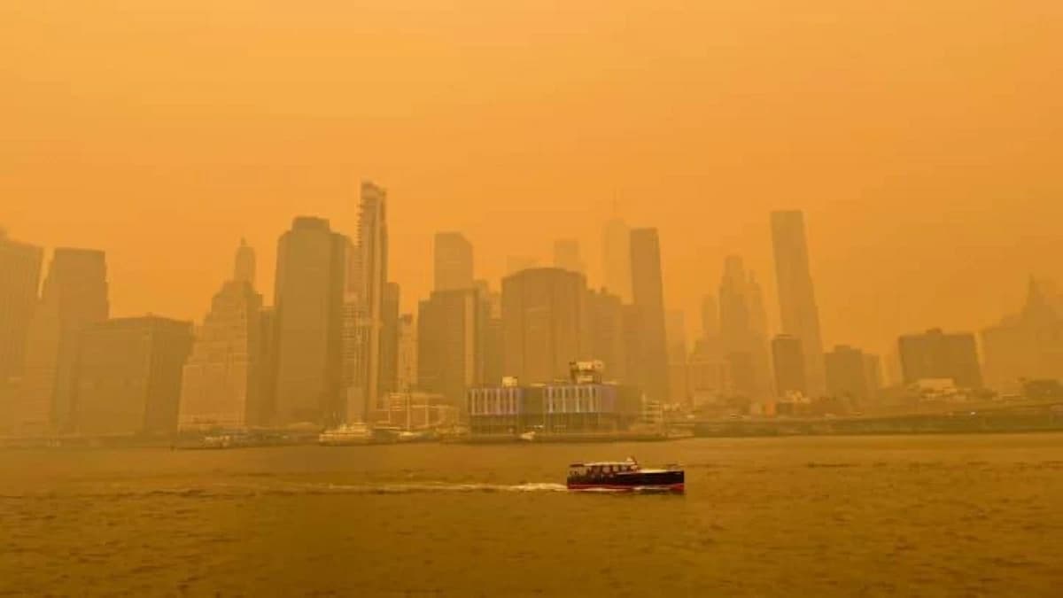 Canadian wildfire smoke endangers vital organs