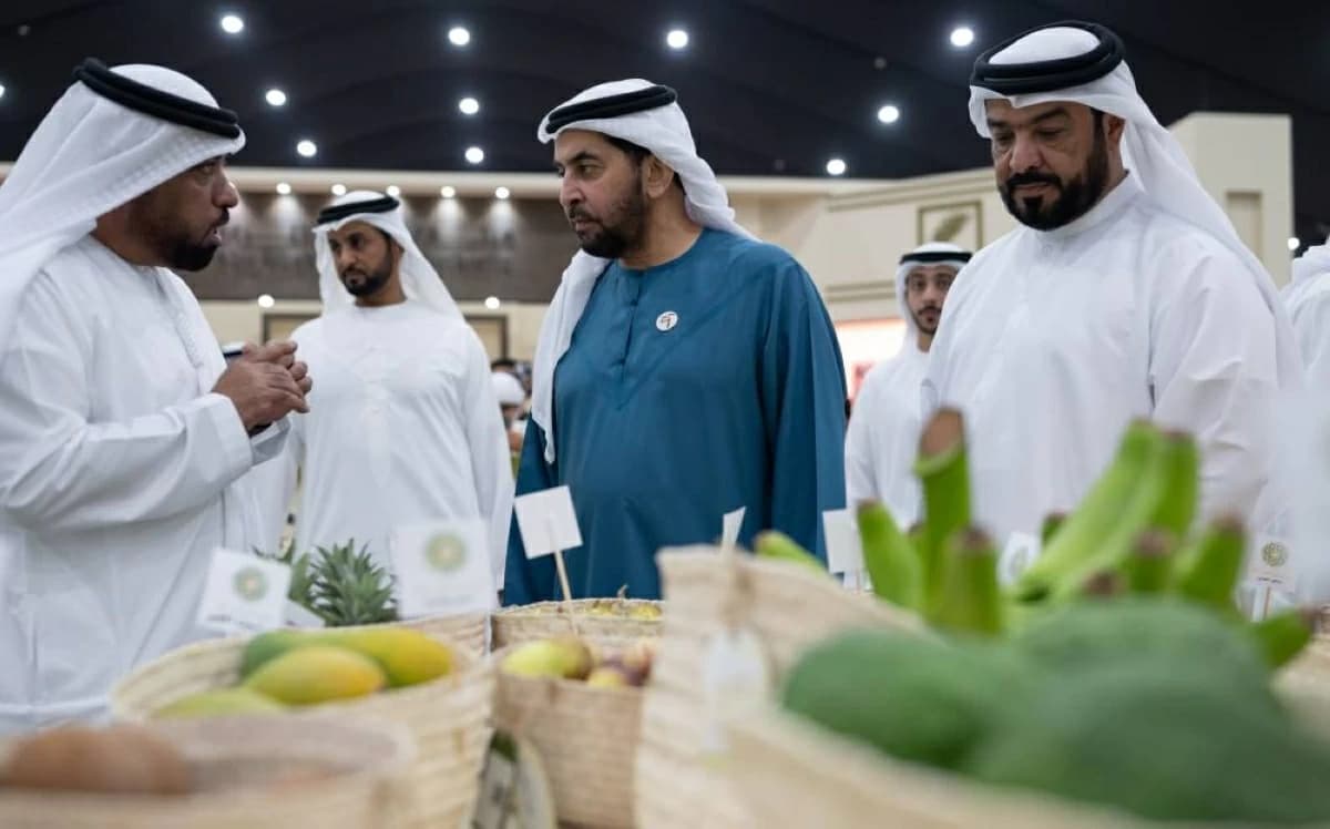 Hamdan bin Zayed: Emirati resilience shown by the palm