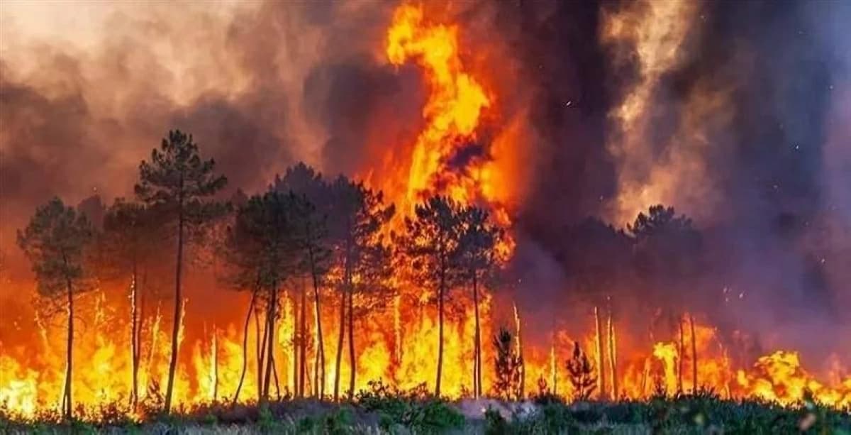 Moritz National Park Fire Contained