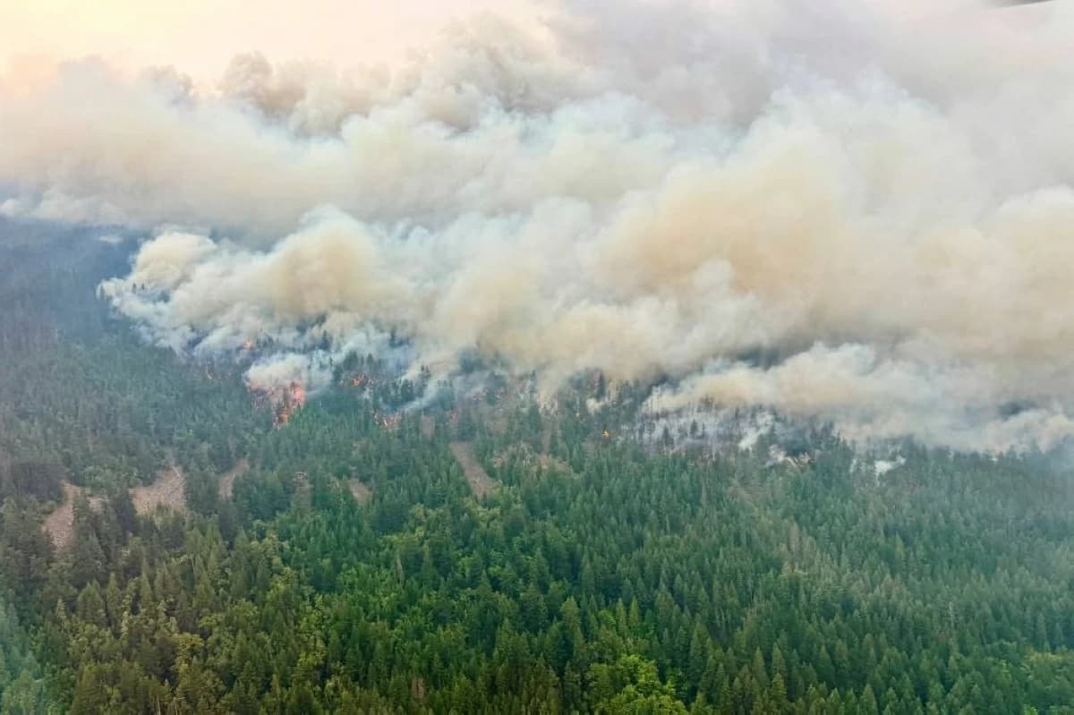 Ontario County Chief Condemns Trump's Forest Fire Comments