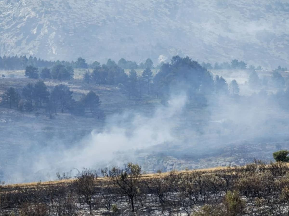Forest fire ravages 32000 hectares in Spain