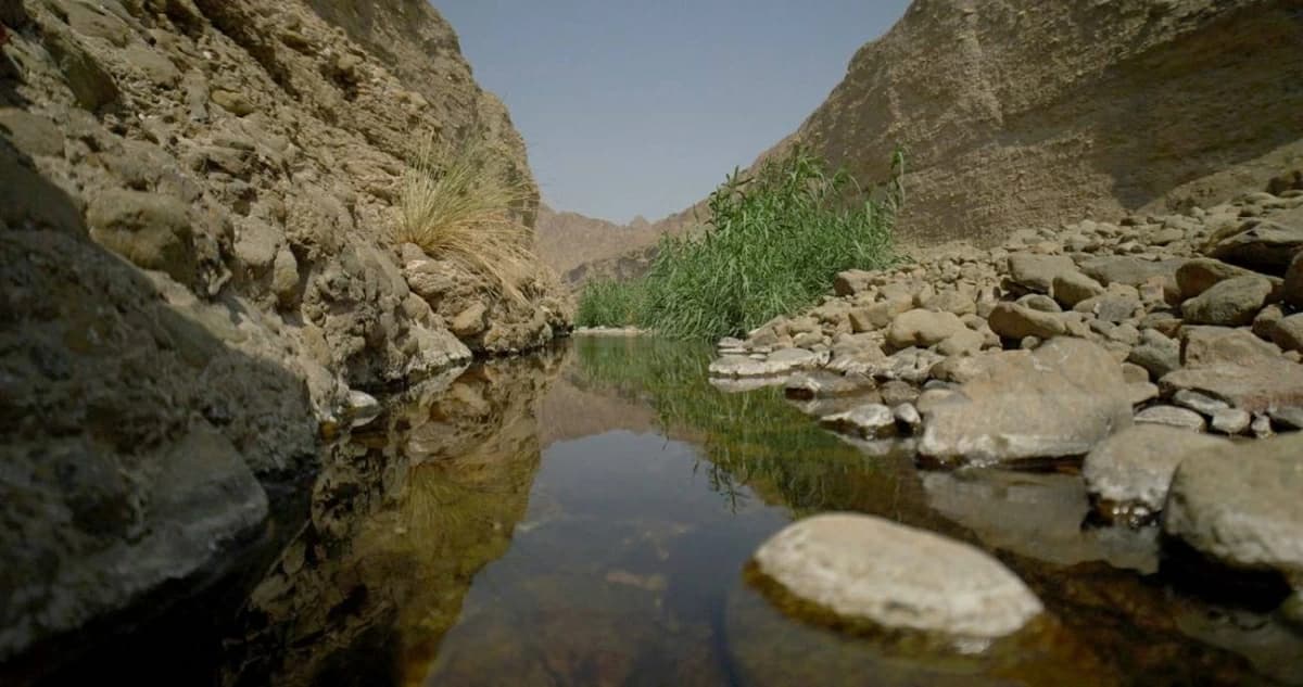 Wadi Al Wurayah in Fujairah joins UNESCO list