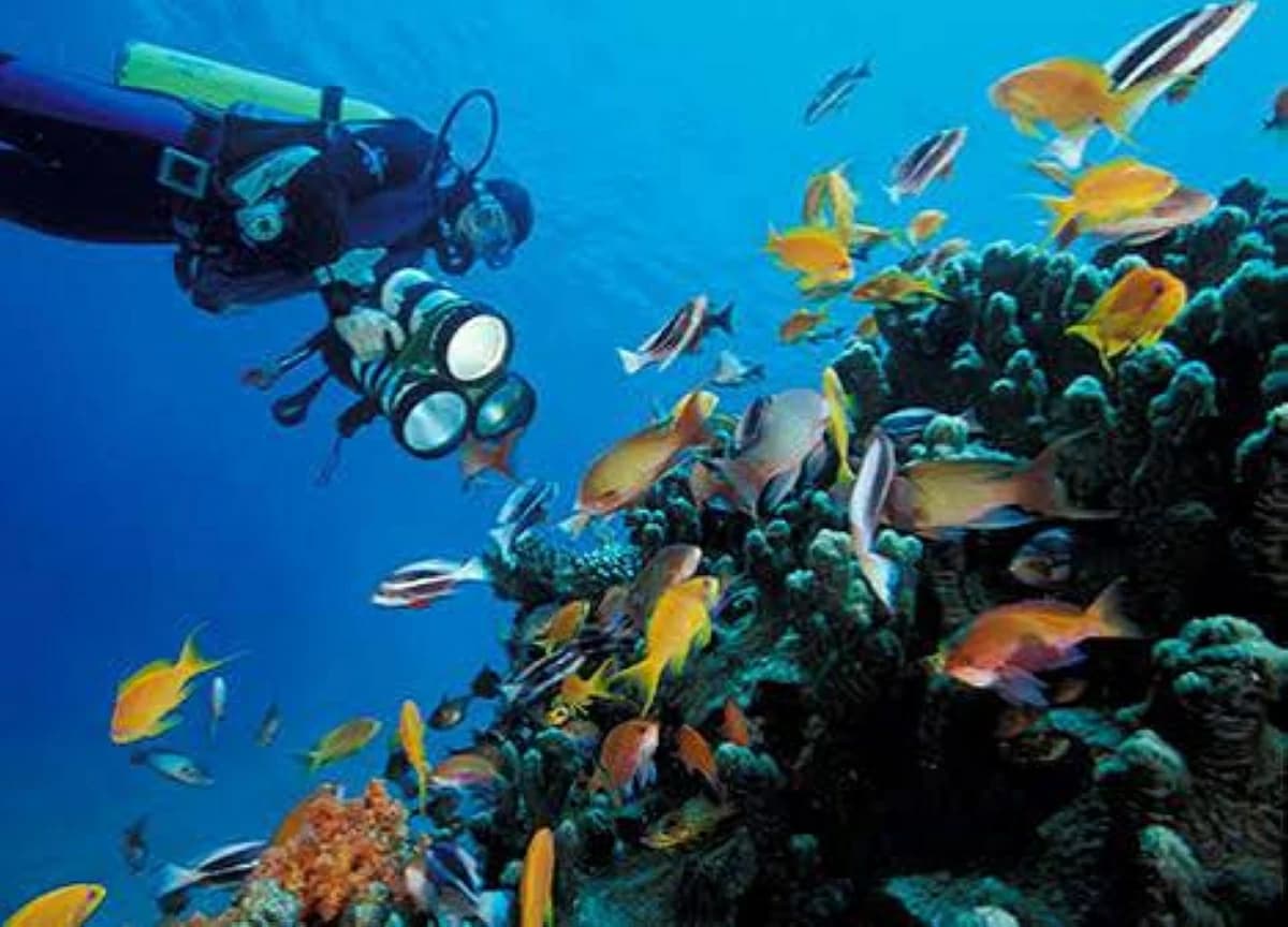 Aqaba Marine Reserve on World Heritage List